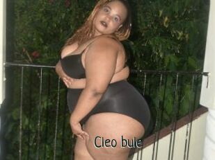 Cleo_bule