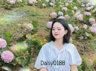 Daisy0188