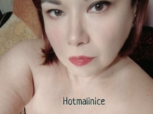 Hotmalinice