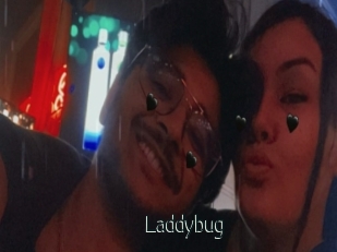 Laddybug