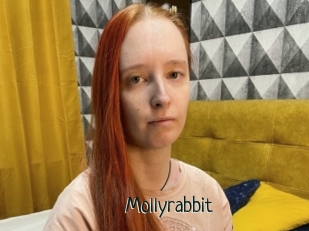 Mollyrabbit