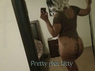 Pretty_phat_kitty