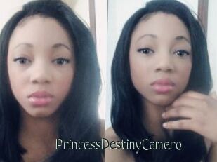 PrincessDestinyCamero