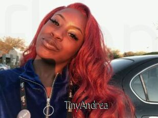 TinyAndrea