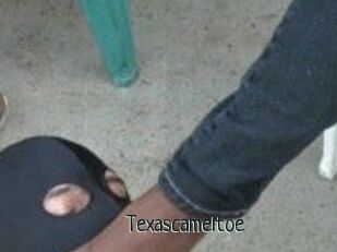 Texascameltoe