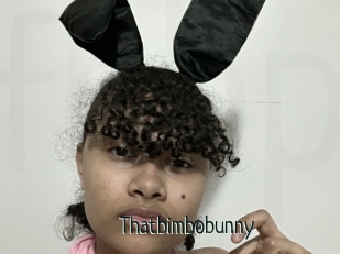 Thatbimbobunny