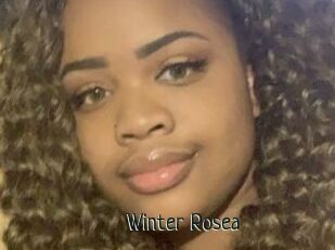 Winter_Rosea