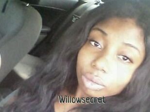 Willow_secret